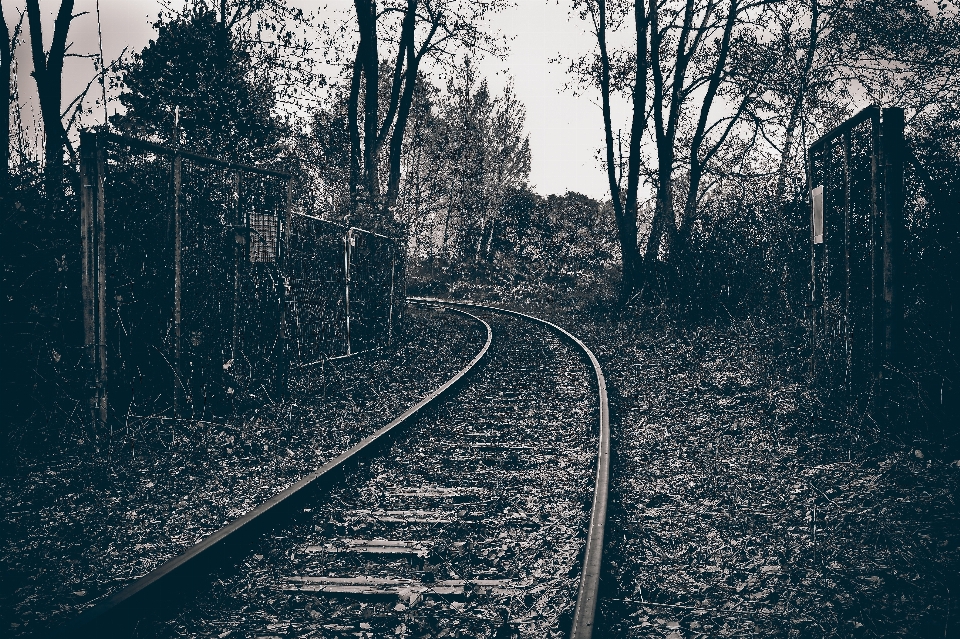 Noir et blanc
 piste chemin de fer matin