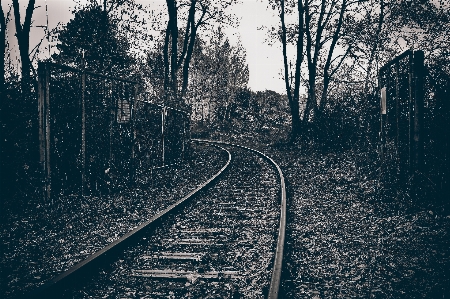 Photo Noir et blanc
 piste chemin de fer matin