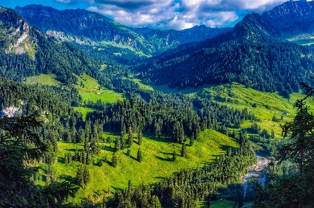 Landschaft baum natur wald Foto