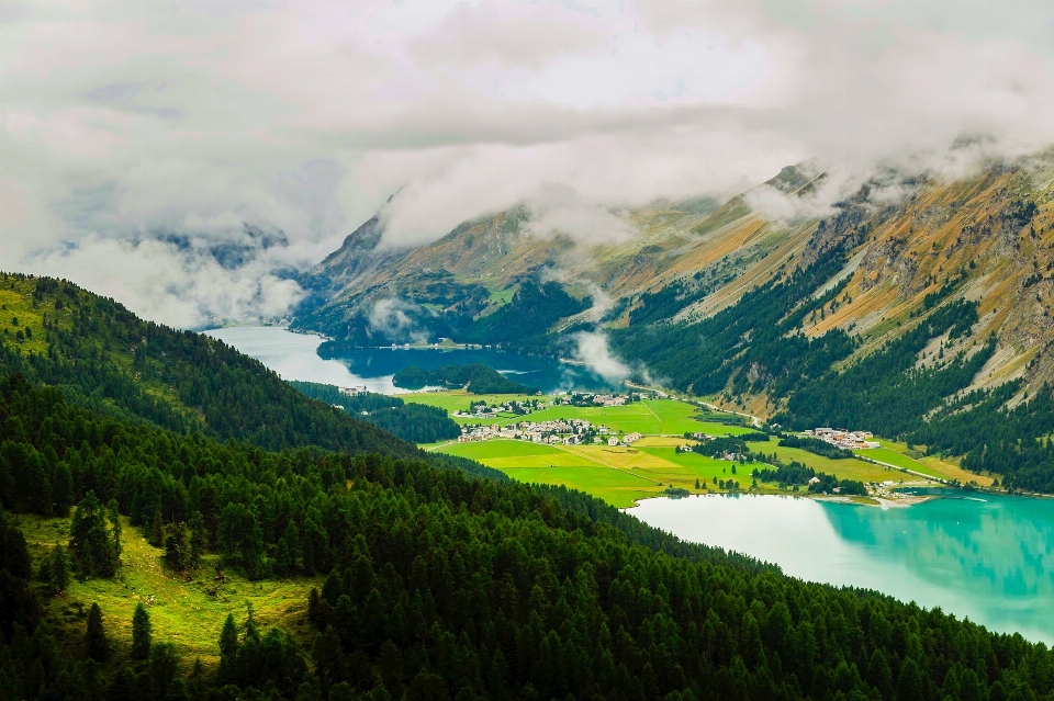 Landscape water nature forest