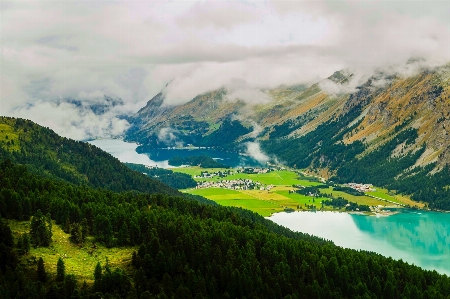 Landscape water nature forest Photo