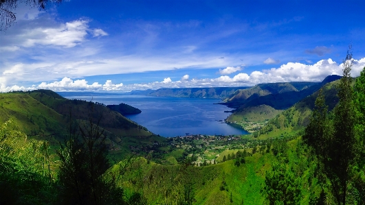 Landscape water nature forest Photo