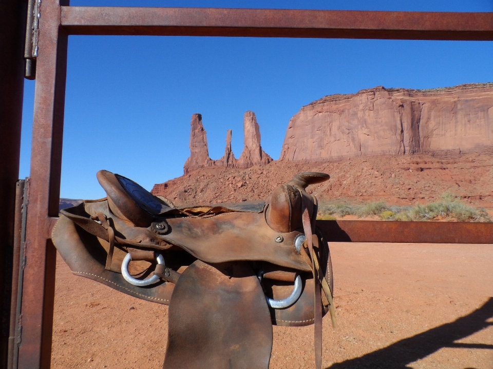 Wood horse grand canyon sculpture