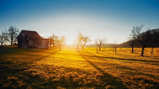 Foto Paisagem árvore natureza horizonte