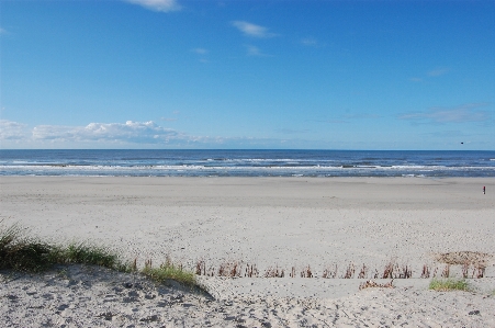 Beach sea coast water Photo