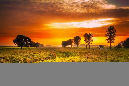 Nature grass horizon sky Photo