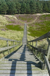 Wood trail bridge building Photo