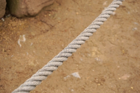 Sand dew rope soil Photo