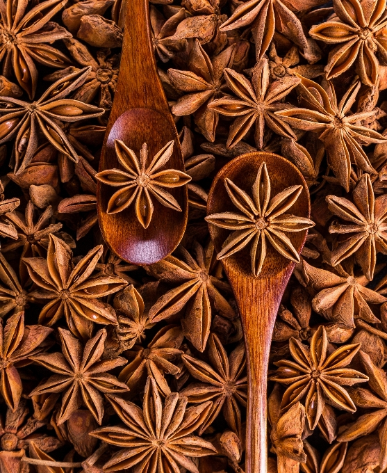 Plant leaf flower aroma