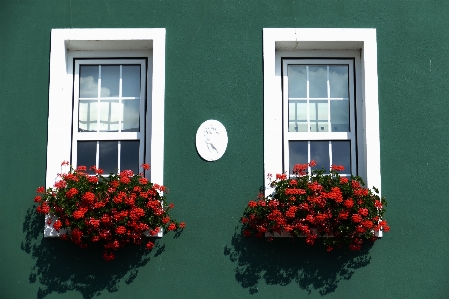 White house flower window Photo