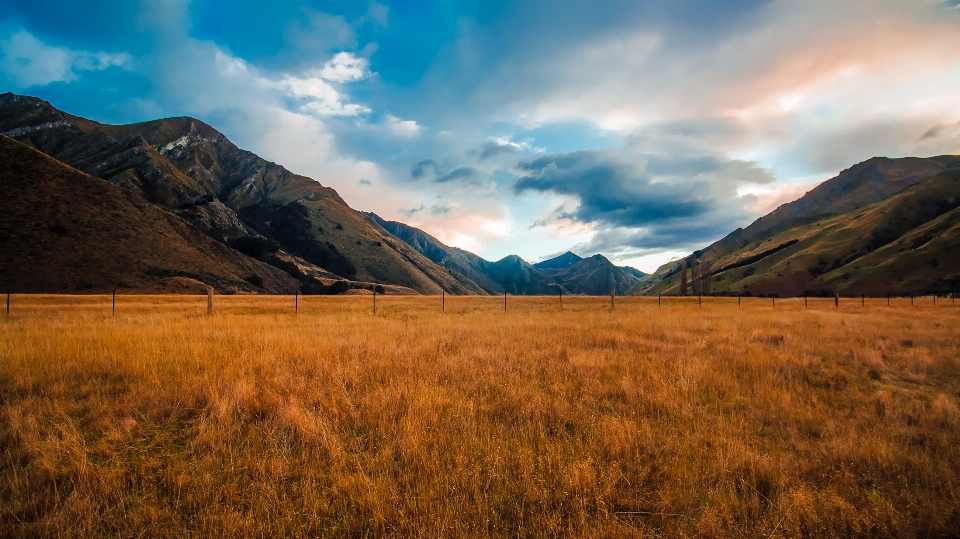 Landschaft natur gras horizont