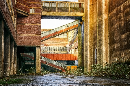 建築 木 家 年 写真