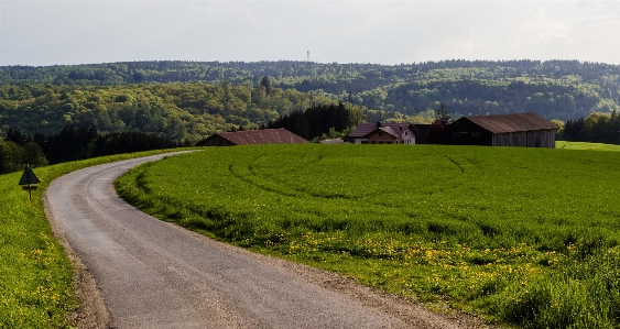 Landscape nature grass mountain Photo