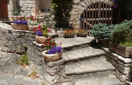 Flower wall walkway village Photo