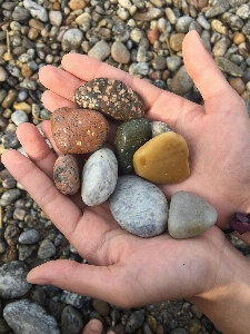 Hand beach rock pebble Photo