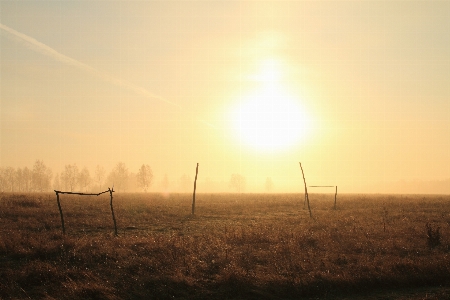 Nature grass horizon sun Photo