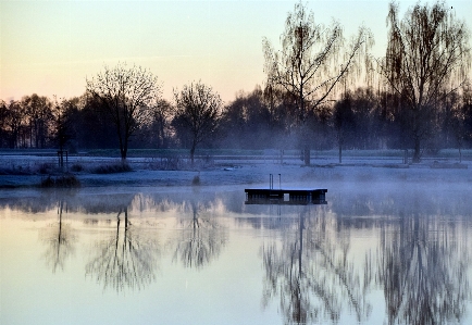 Landscape tree water nature Photo