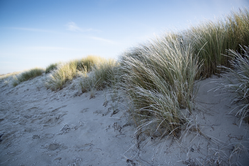 Beach landscape sea coast