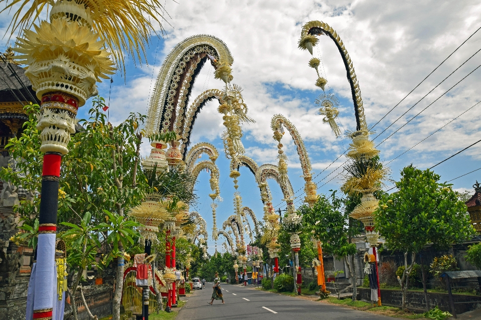 Pohon bunga pusat kota
 bepergian