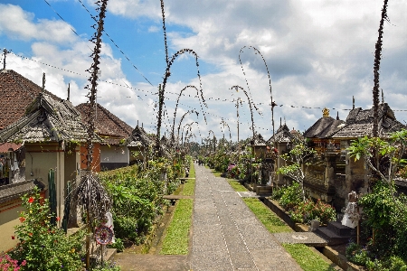 花 街 休暇 旅行 写真