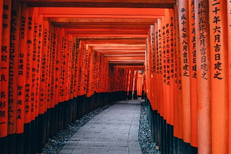 Path architecture wall line Photo