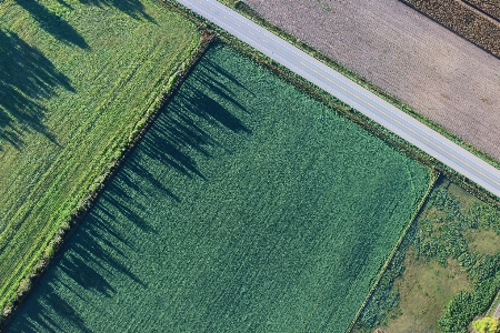 Landscape grass road field Photo