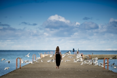 Beach sea coast water Photo