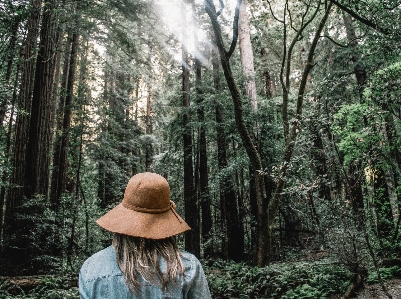 Tree forest wilderness person Photo