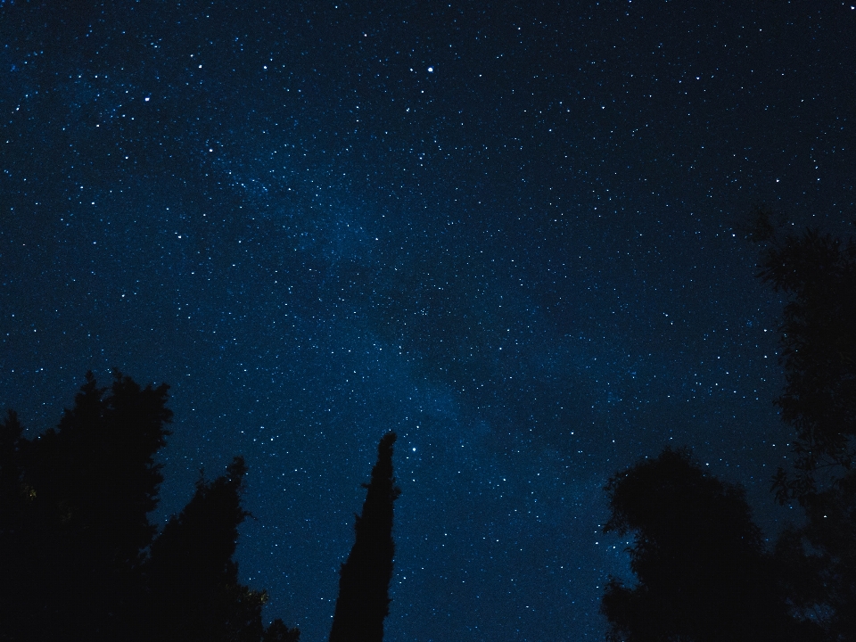 Ağaç siluet gökyüzü gece