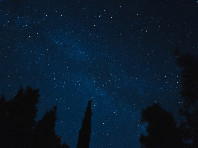 Foto árvore silhueta céu noite