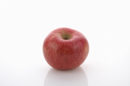 Apple 植物 水果 食物 照片