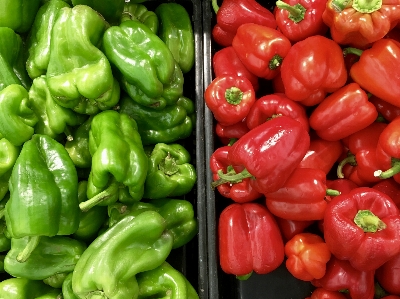 Plant food green pepper Photo