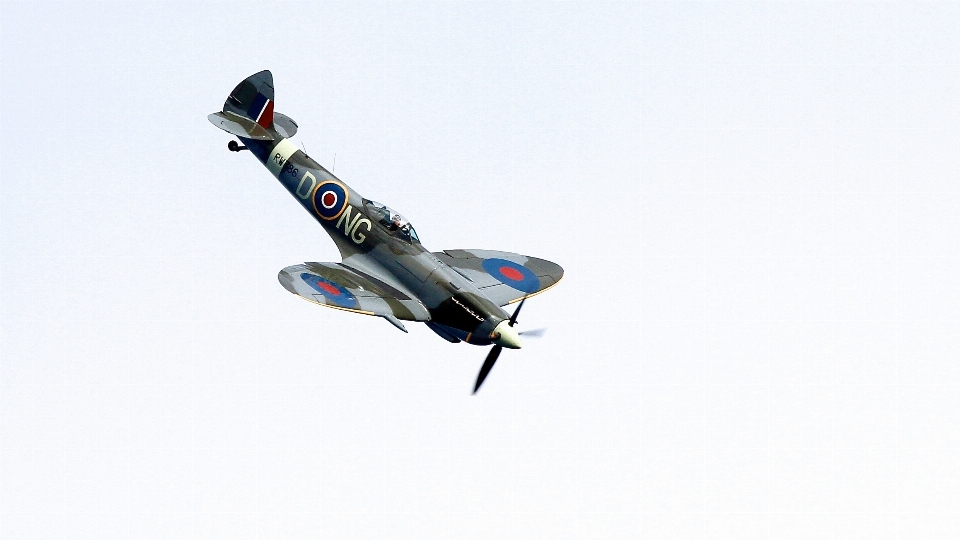 Aile ciel avion véhicule