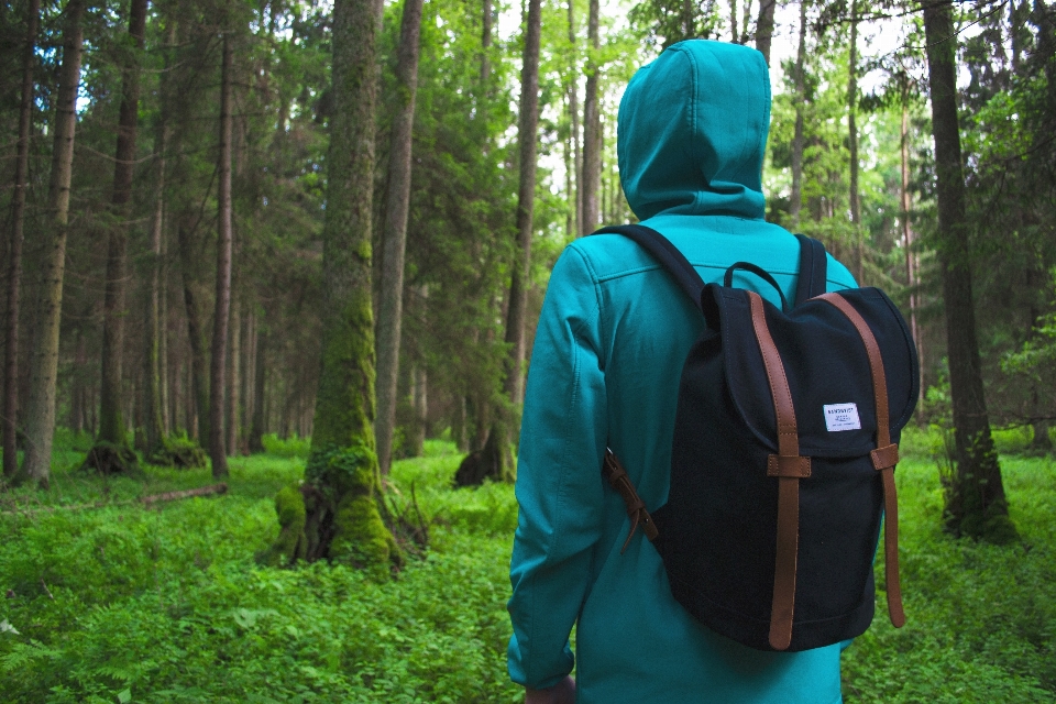 Homme nature forêt région sauvage
