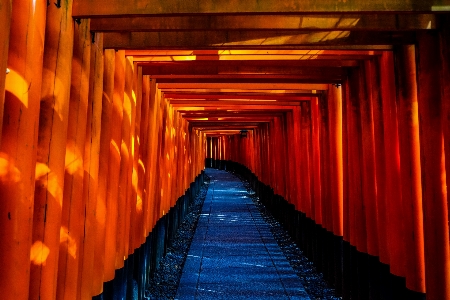 Light architecture wood night Photo