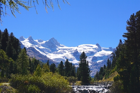 Foto Paesaggio albero acqua natura