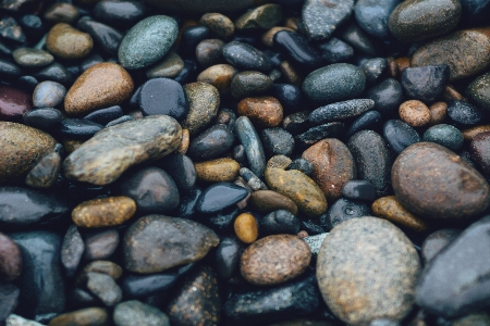 Rock 濡れた 食べ物 生産 写真