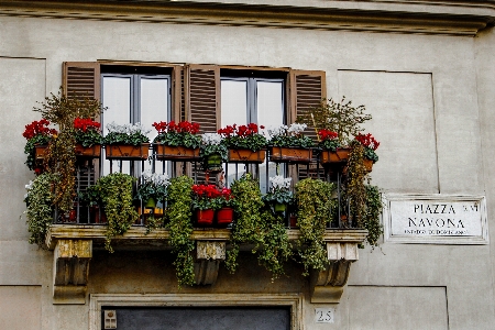 Foto Casa flor janela restaurante