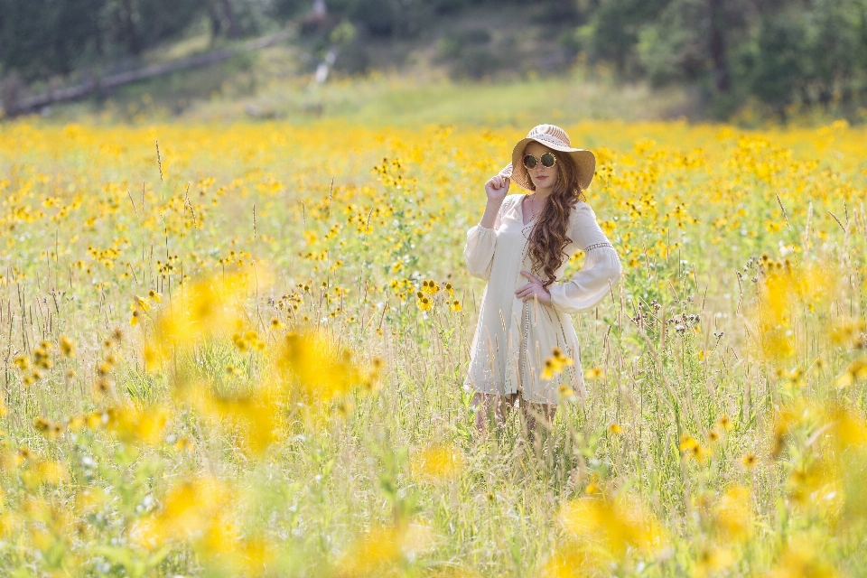 Nature plant field meadow