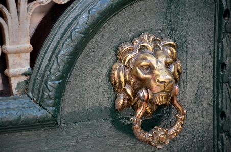 Doorknocker lion input door Photo