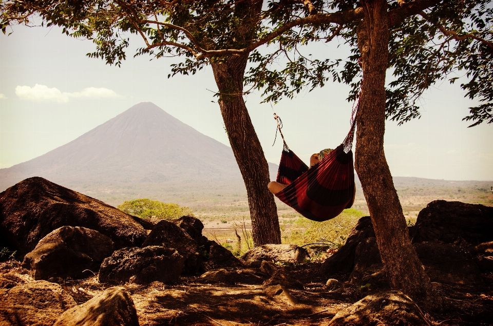 Chill chilling hammock landscape