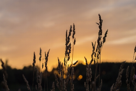 Sky nature sunset horizon Photo