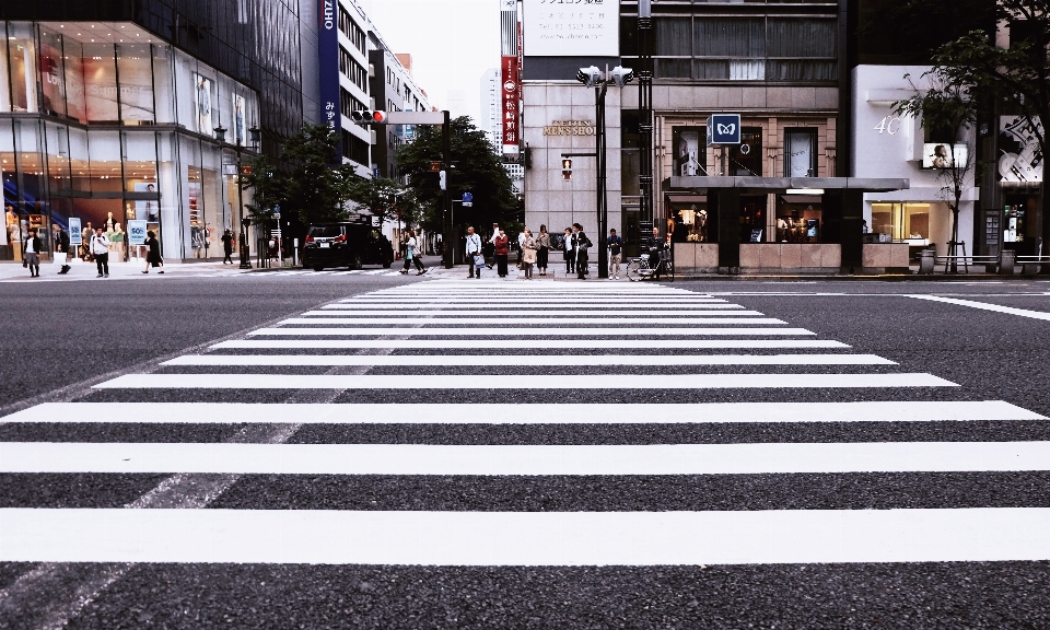 Road pedestrian crossing lane zebra