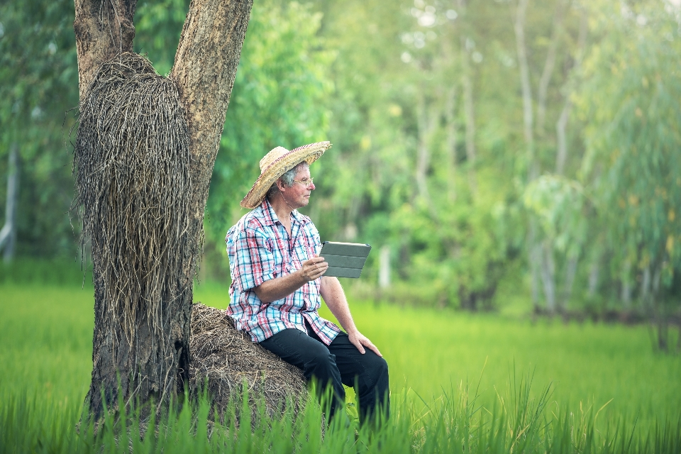 Agriculture caucasian people grain check