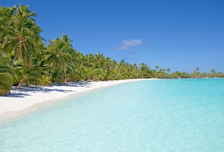 Beach landform geographical feature body of water Photo