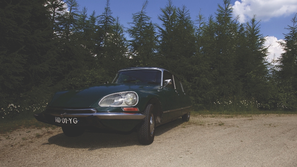 Voiture véhicule terrestre
 de taille moyenne
