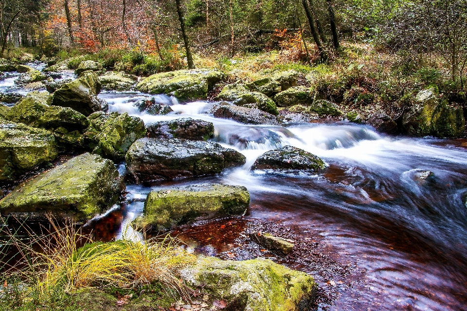 River bach water flow