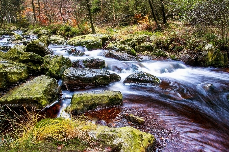 River bach water flow Photo