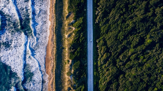 自然 木 緑 水 写真