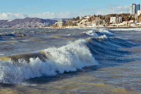 Wave shore wind sea Photo